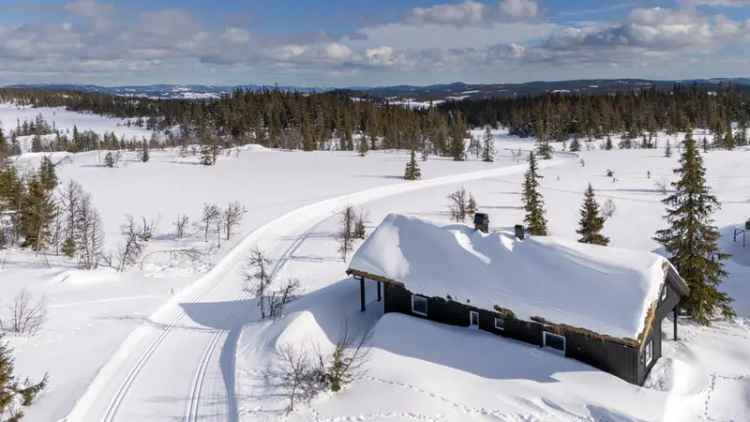 Hytte til salgs nær løypenett - Hems 50m²