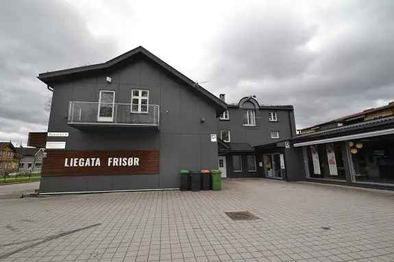 Leilighet til leie Skien sentrum
