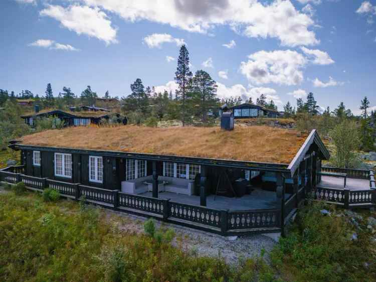 Flott fritidsbolig Engerdal 3 soverom jacuzzi