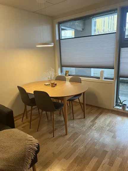 3-roms Leilighet Trondheim - Juni/Juli