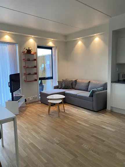 Møblert Leilighet Jessheim 3 Mnd Leie Juni-September