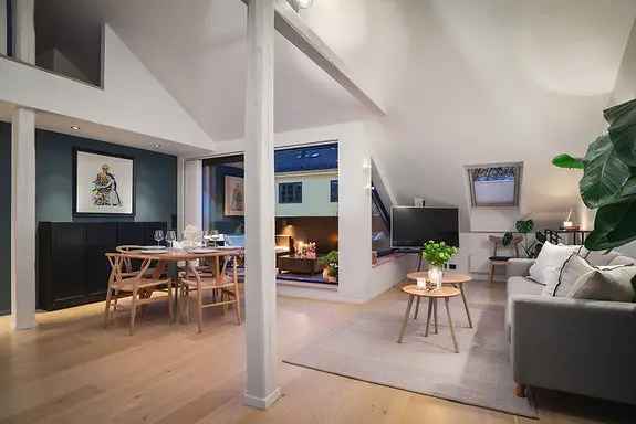 Loftsleilighet Frogner 81 kvm Takterrasse Peis