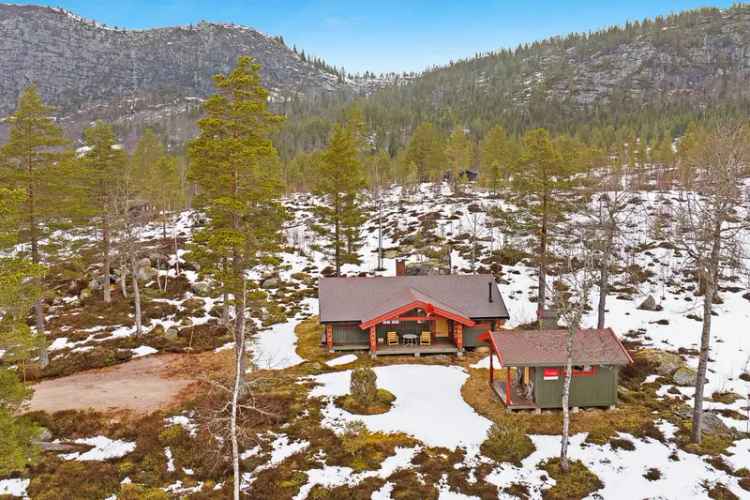 Hytte i 
								Øvre Birtedalen - Idyllisk og Velholdt