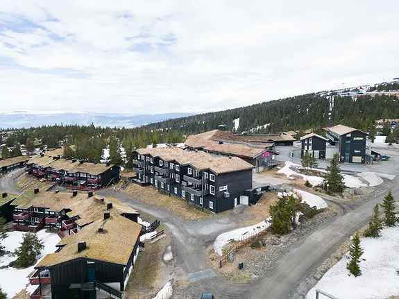4-roms leilighet Gaiastova - Tilgjengelig til 30112025