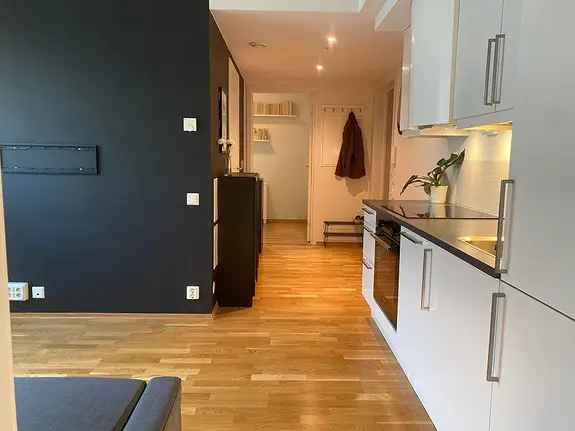 Moderne 3-roms leilighet - perfekt for studenter