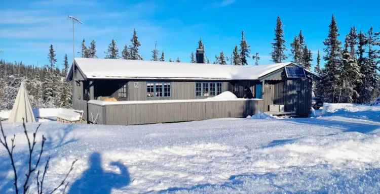Hytte til salgs Teinvassåsen Hedalen