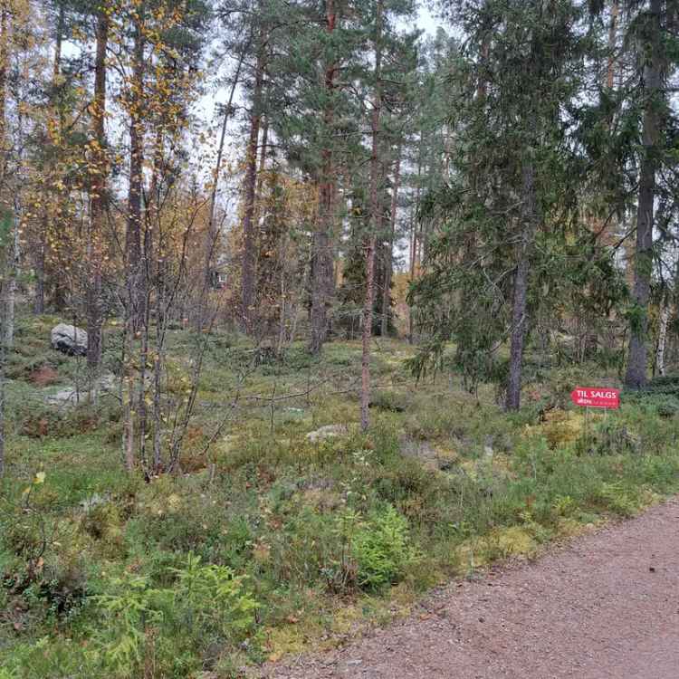 Fritidstomt Kvern



åa hytteområde