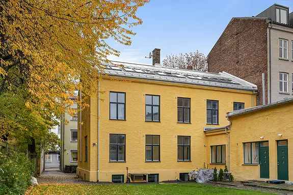 Stor og Lys Leilighet pa Grunerlokka 3 Soverom