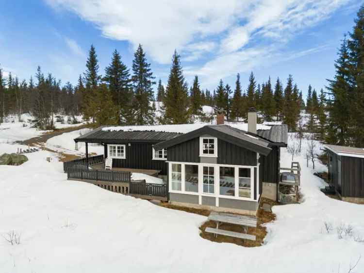 Hyggelig fjellhytte ved Gamlestølen