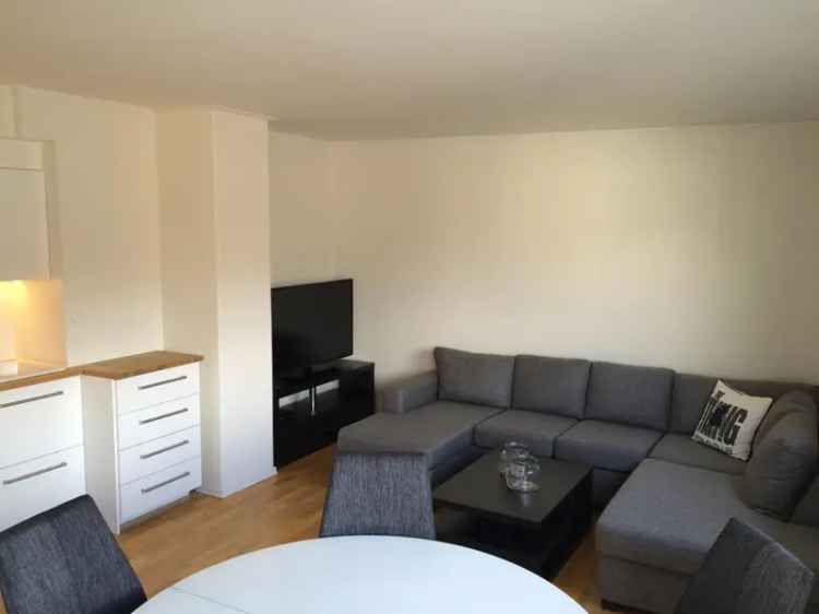 Toppleilighet Homansbyen Bislett 2 rom Privat Takterrasse