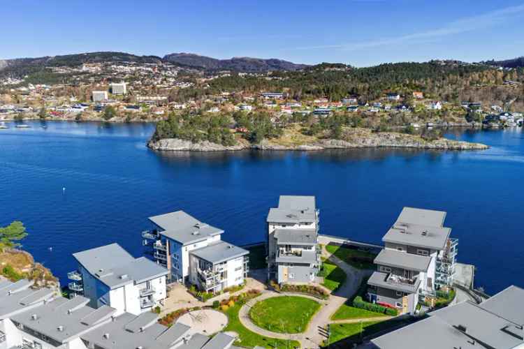 Tømmervågen 3-roms leilighet - Sjøutsikt og terrasse