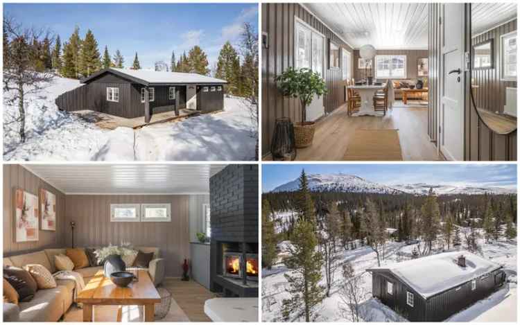 Hytte Trysilfjellet Fager	åsen 228 Ski Inn Ut Oppusset