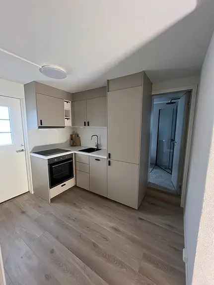 Moderne Hybelleilighet Sande - Ledig fra 0106