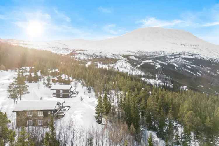 Stor Fritidsbolig Brendstaul Ski Inn Ut 6 Soverom 3 Bad