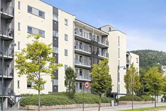 Tre-roms leilighet til leie Bragernes Strand