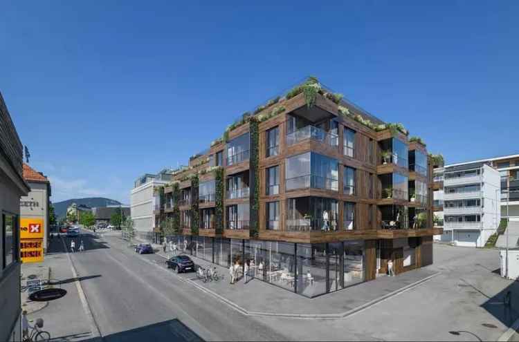 Leilighet til leie Lillehammer sentrum 2 rom