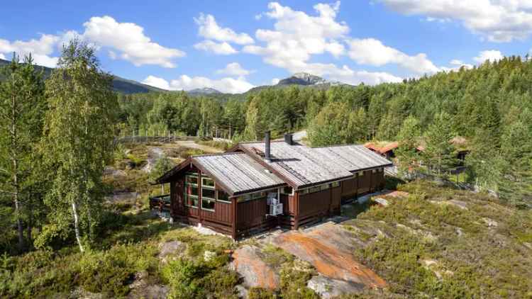 Fritidsbolig Notodden 15 Sengeplasser Nystulvatnet