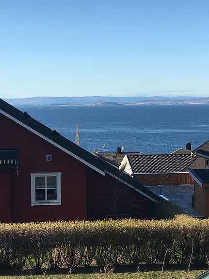 Sokkeleilighet 30 kvm Saksvik - Oppusset og sentralt