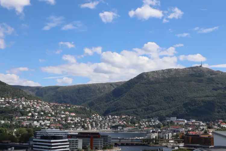 3-roms leilighet Bergen Sentralt Flott Utsikt