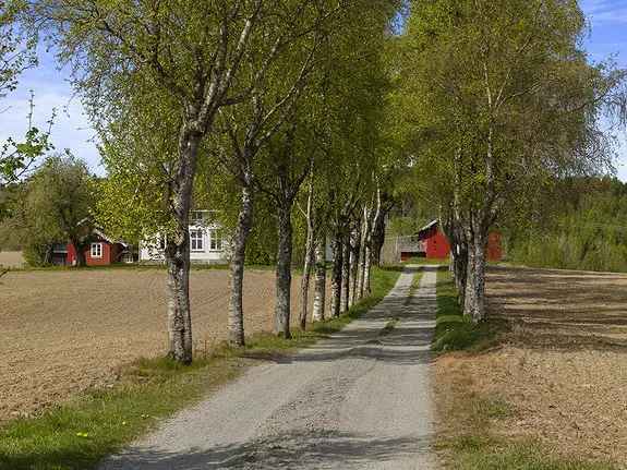 Landbrukseiendom 382 daa Vestby - stort potensial