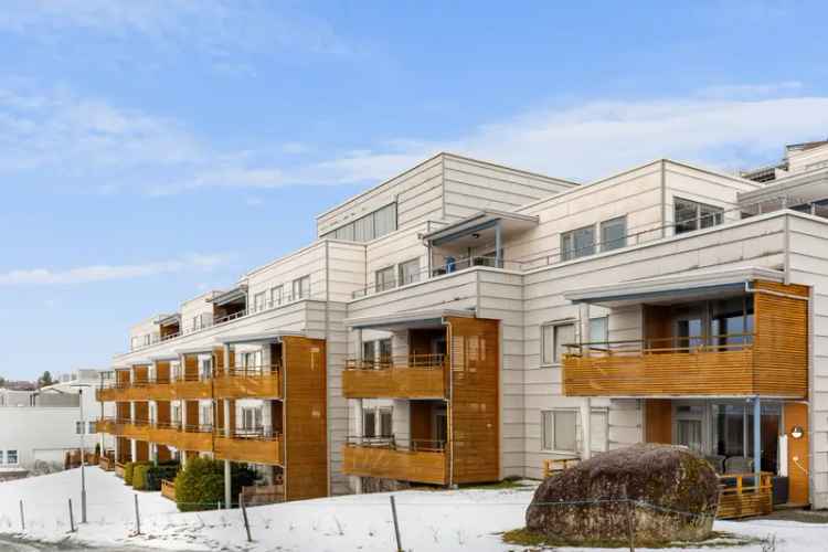 3-roms Leilighet Husbykleiva Stjørdal