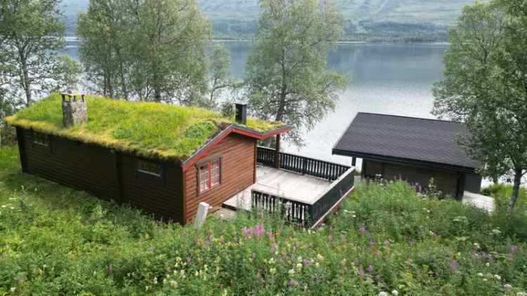 Fiplingdalen Hytte med Naust Flotte Turmuligheter