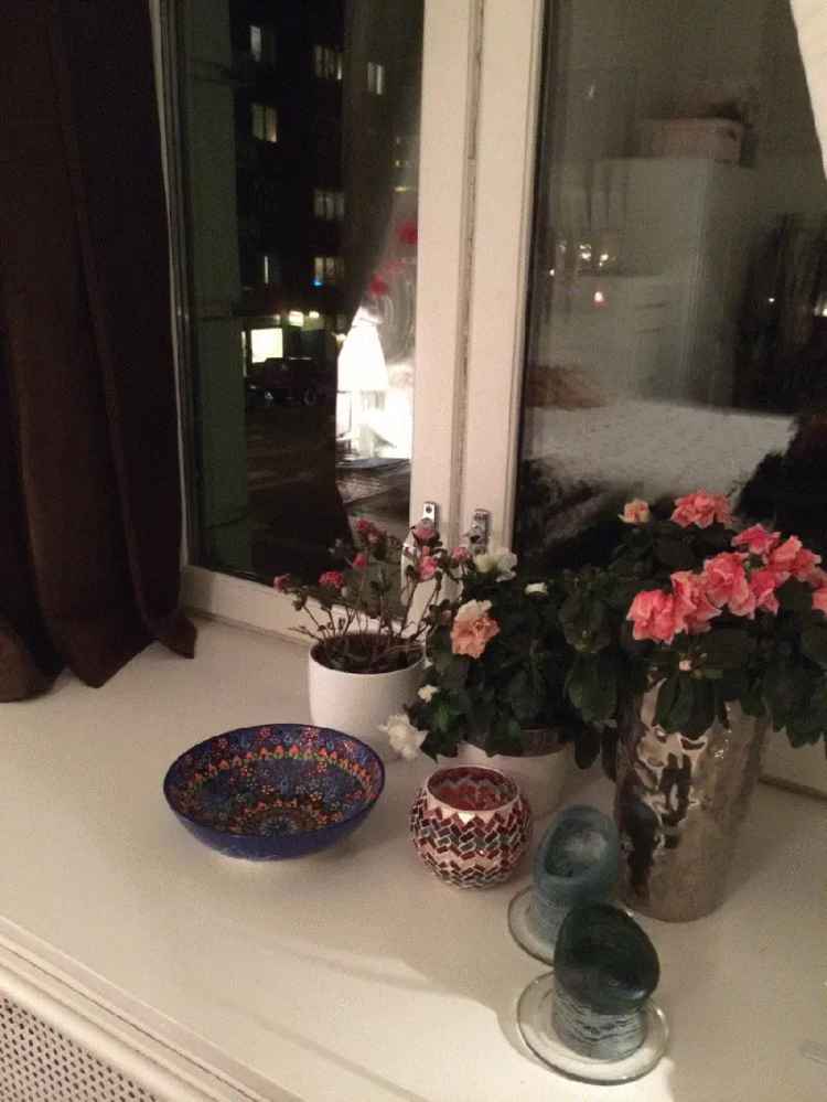 Rom i bofellesskap Oslo Thereses Gate - 10 kvm