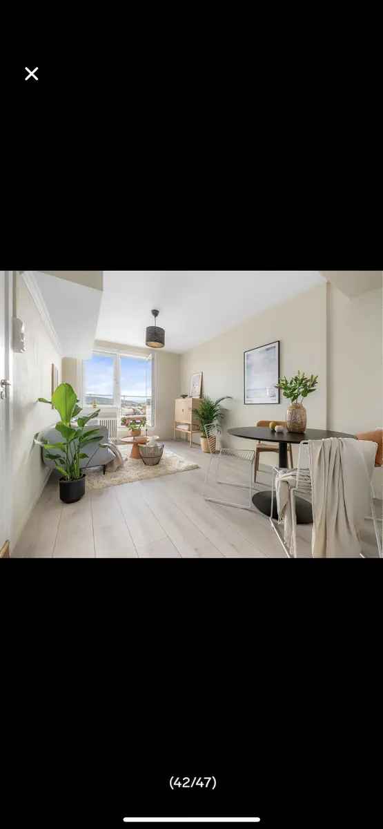 Rom i bofellesskap Bogstadveien Oslo