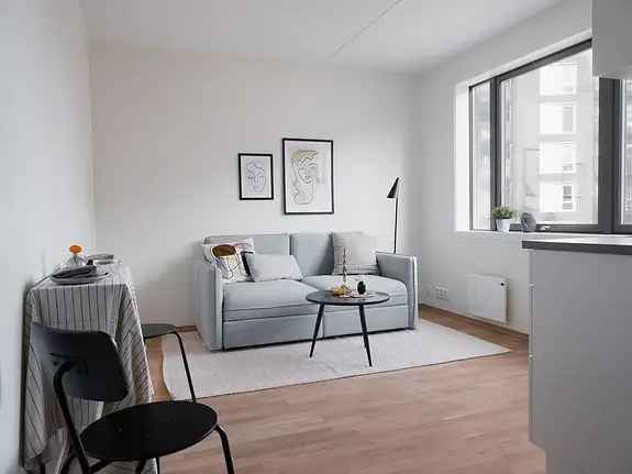 Lys Hybel Ulven Oslo Alt Inkludert 16m2