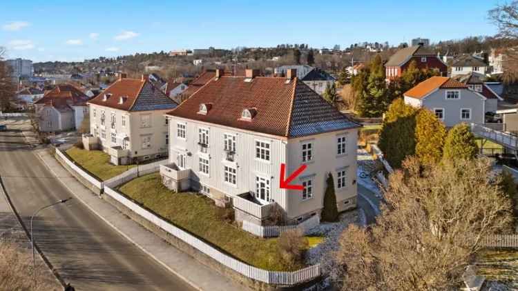Lys Leilighet Halden Sentrum 2 Stuer Peis