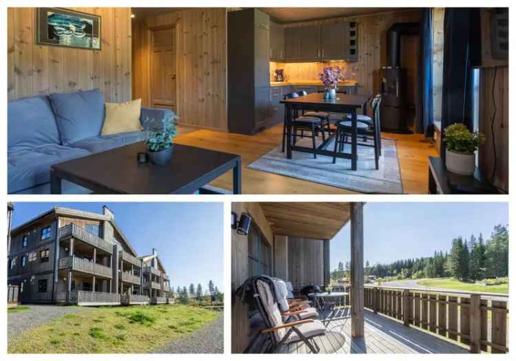 Trysilfjellet Hytte Ski Inn Ut Garasje God Utleieinntekt