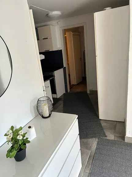 Hybelleilighet til leie med sjøutsikt