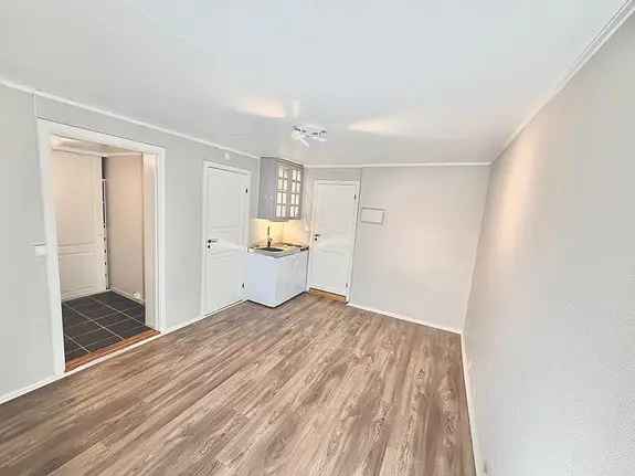 2-roms leilighet Sarpsborg Sentrum - Lys og moderne