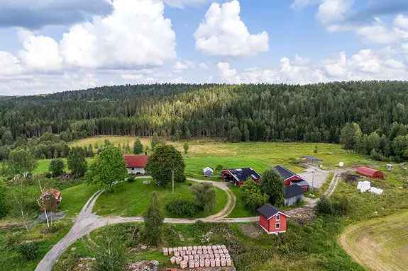 Landbrukseiendom til salgs - Idyllisk sted med rikt dyreliv