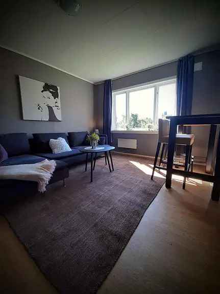 3 Soveroms Leilighet Porsgrunn Korttidsleie