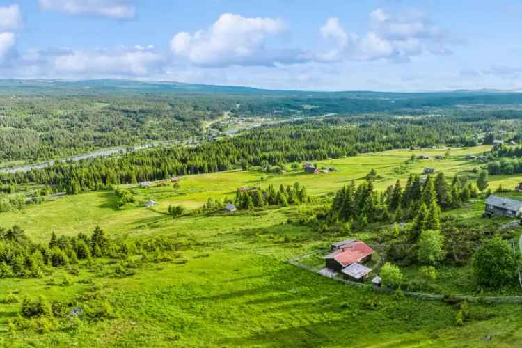 Hytte Tisleidalen - Solrik beliggenhet og flott utsikt