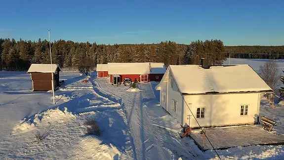 Småbruk til leie Drevsjø - Hundekjøring Paradis