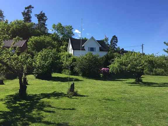 Rom i bofellesskap Holmen - Ledig fra 1 mai