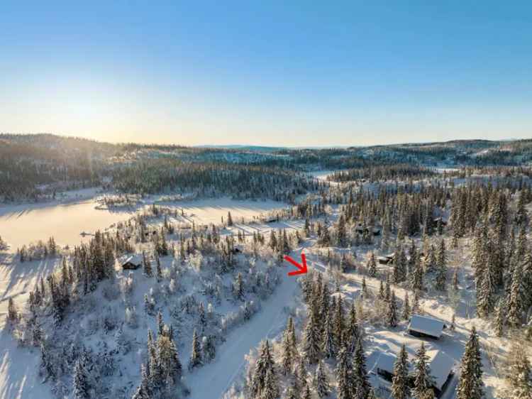 Hyttetomt Aurdalsåsen Valdres - Solrik beliggenhet nar skiloyper