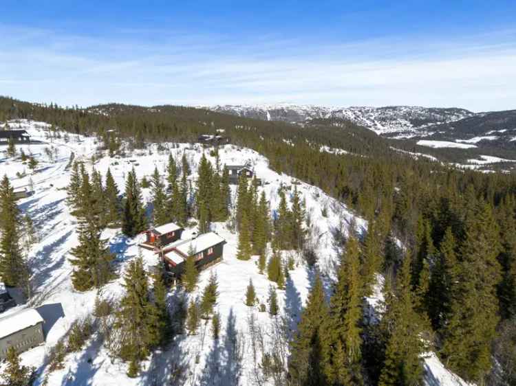 Hytte til salgs Sør Aurdal - Fjellstølen