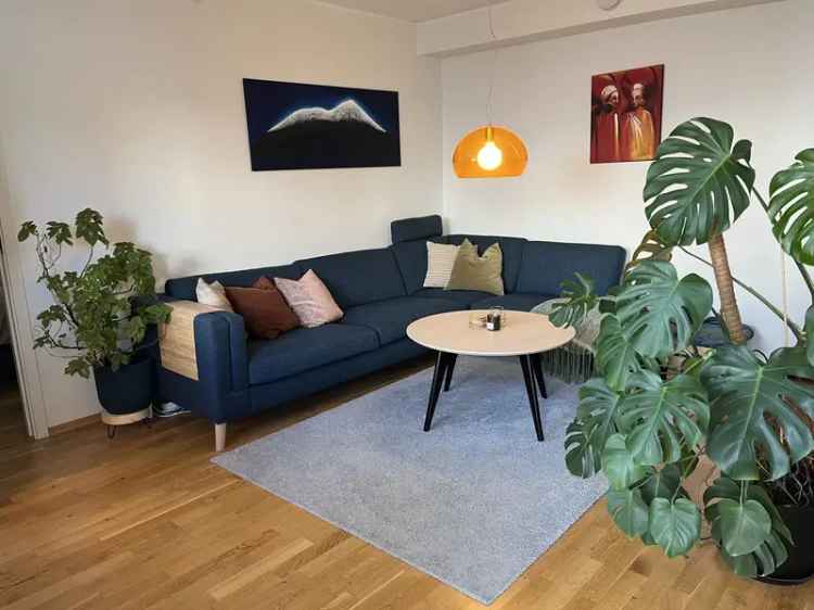 Leilighet til leie Bergen Damsgårdssundet 2 rom