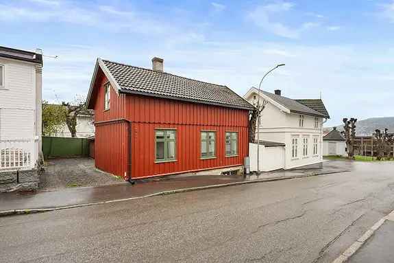 Sentral Enebolig i Drammen Sentrum