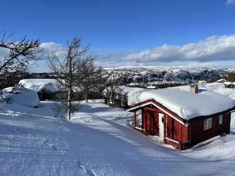 Hyttetun i Valdres - Stor tomt - Fantastisk turterreng