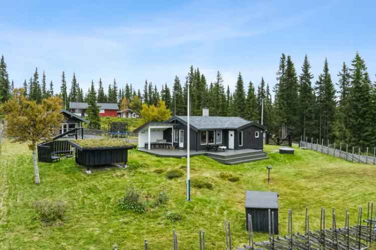 Hyttetun i Valdres Hallingdal med to hytter og uthus