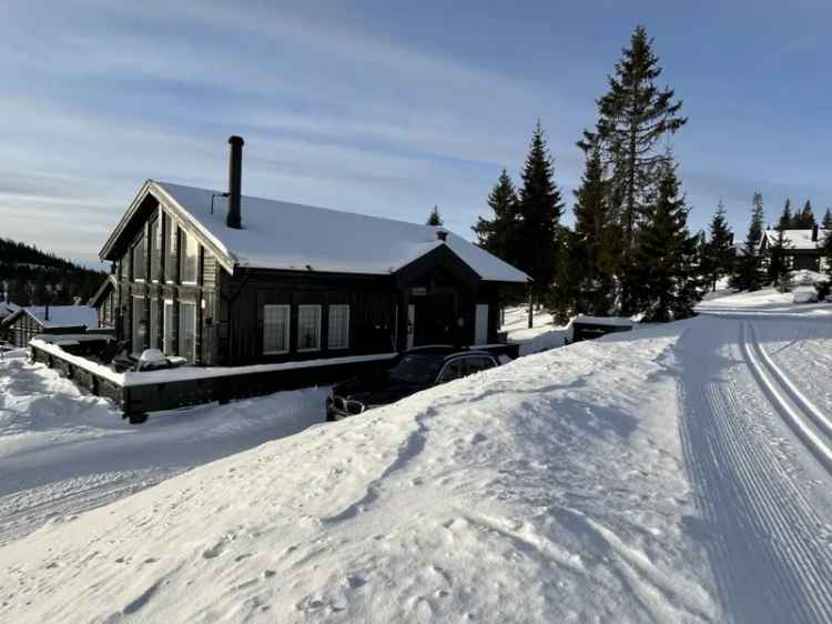 Hytte Sjusjøen 2016 Peisovn Jacuzzi Skiløyper Alpinbakke