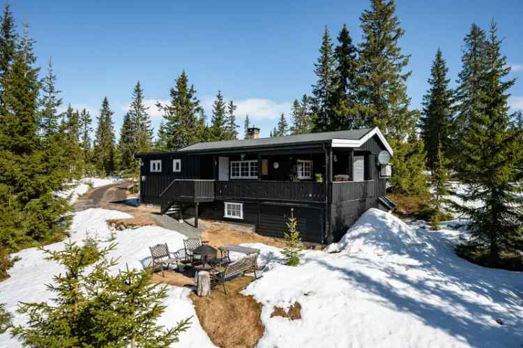Sjusjøen Hytte 3 Soverom Ski Langrenn Alpin