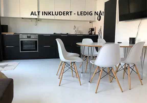 Hyggelig bofelleskap nar UIA - Ledige rom