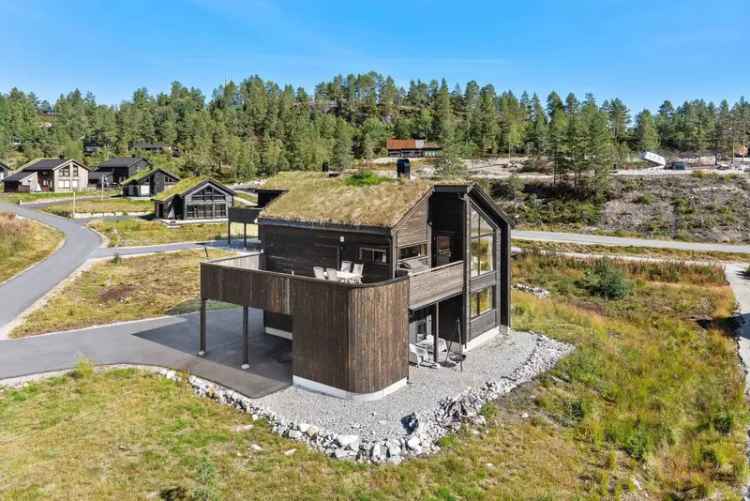 Bortelid Fritidsbolig 4 Soverom Carport Ski