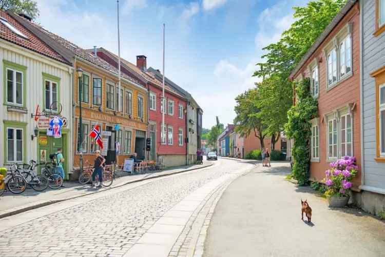 Rom i bofellesskap Trondheim - 5 store hybler Nedre Bakklandet