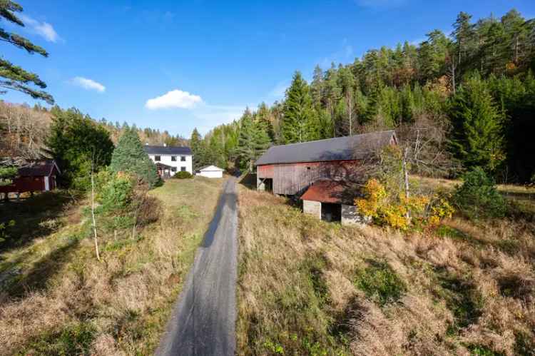 Stor Skogseiendom med Våningshus - Odel